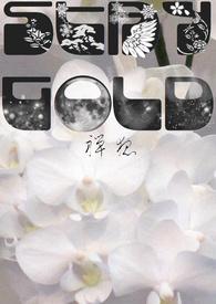 stay gold 赛马