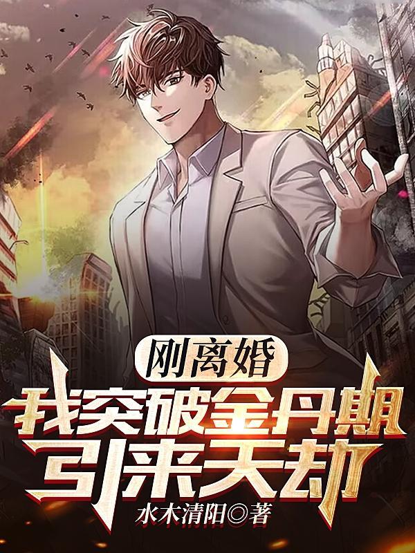 刚离婚我突破金丹期引来天劫TXT