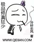 极品修真狂少叶幽