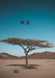 龙墓魅影免费