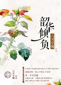 韶华倾负演员表介绍