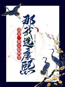 清穿都在抢阿哥那我选康熙免费