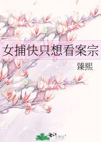 女捕快只想看案宗讲的什么