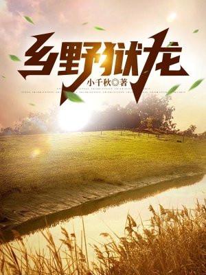 乡野龙医黄龙