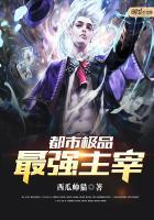 都市极品 最强主宰