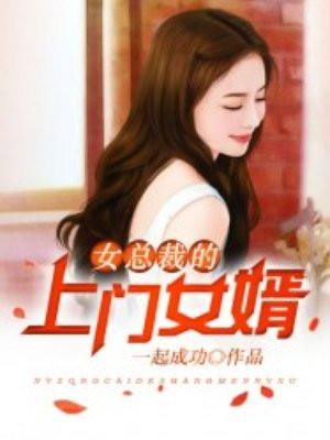 女总裁的上女婿上门女婿