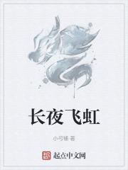 长夜飞虹
